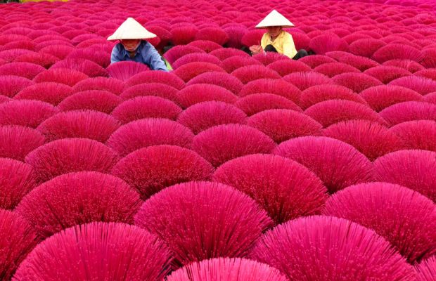 Quang Phu Cau Incense Village's workers